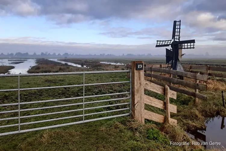 Natura 2000-beheerplan voor polder Zeevang vastgesteld