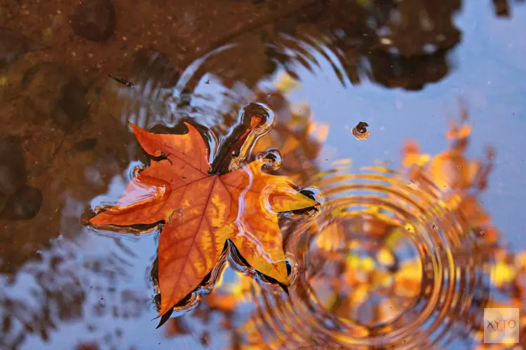 Herfst laat zich gelden