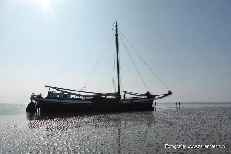 Wie wil er het Wad op deze zomer?