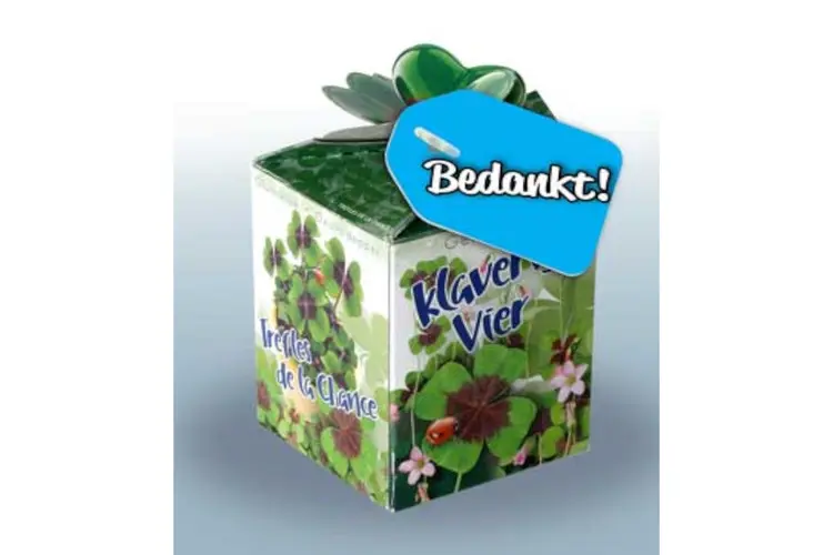 Een blijvende indruk achterlaten met groene giveaways