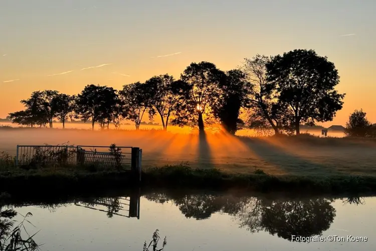 Winnaar fotowedstrijd 'zomer' 2024