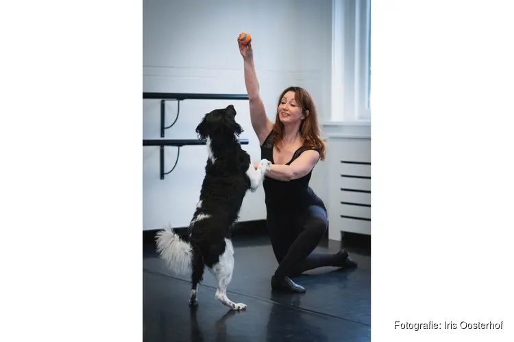 La-Danse Dans en Sport viert 30 jarig bestaan