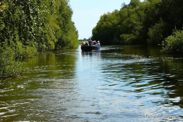 Stil en betoverend, varen door het broekbos in Ilperveld