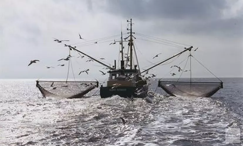 Afspraken over minder visvangst in IJsselmeer