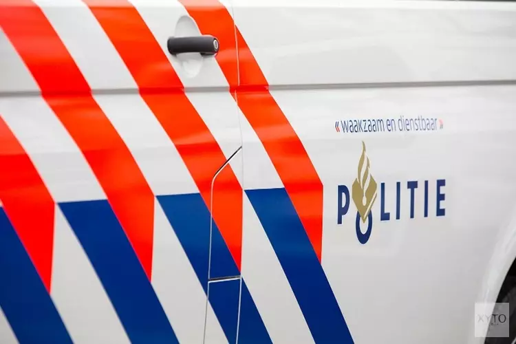 Koffers gestolen uit auto